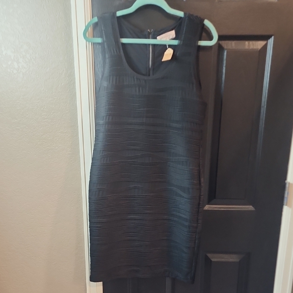 Elegant Black Sleeveless Dress